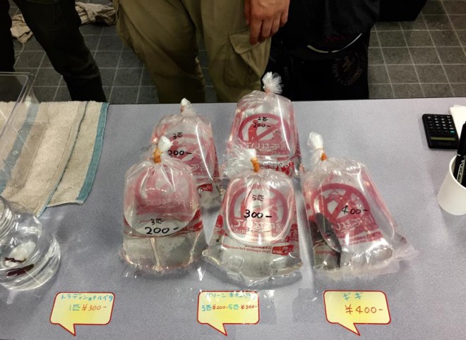 11733323_882276571853129_1865549035_n