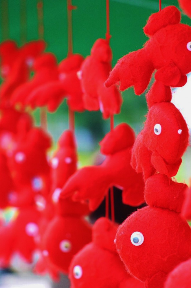 え　金魚吊るされ