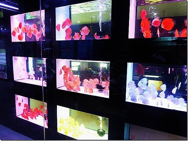 !cid_48E5A250CB134596BEB2B5E4D39DBD4D@cPC