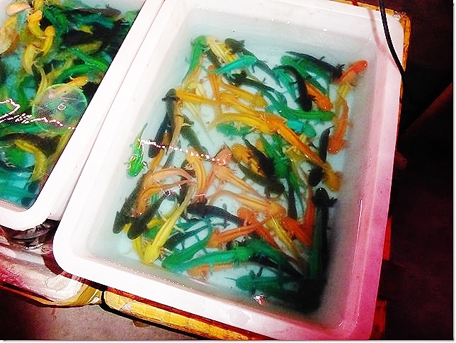 !cid_3A765990DA3B4F6FB2D3A3EC3600A9D2@cPC