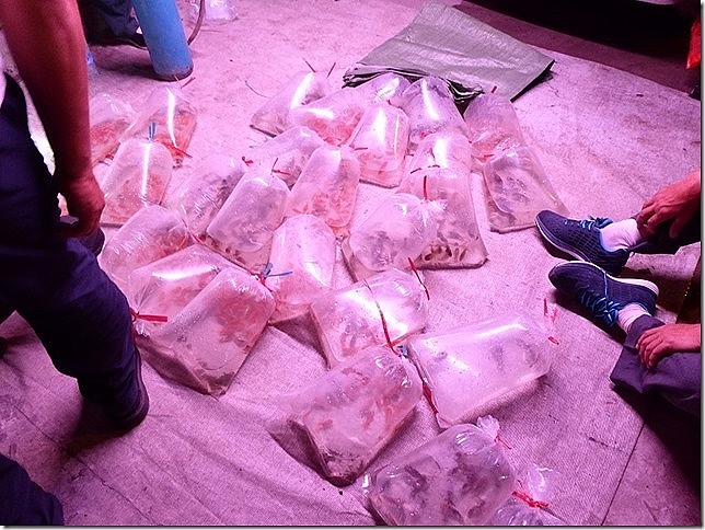 !cid_F6D155CC67194D0D973628641AA0FE1C@cPC