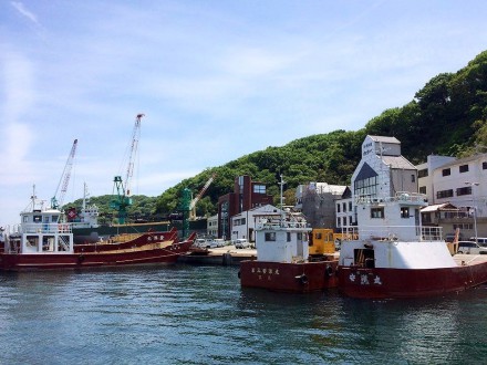 12380567_950924594988326_1545673644_n