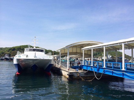 12386603_950924641654988_570170360_n