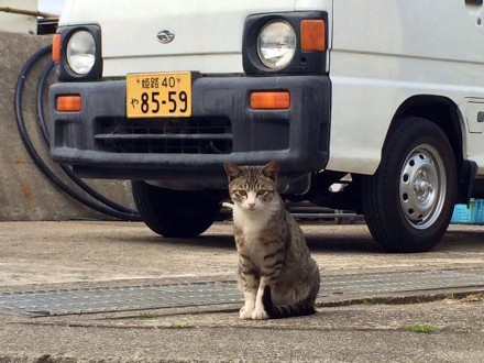 12387774_950924664988319_1123659600_n