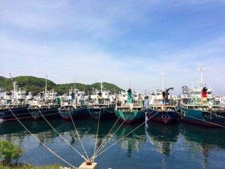 12388219_950924601654992_1998185862_n