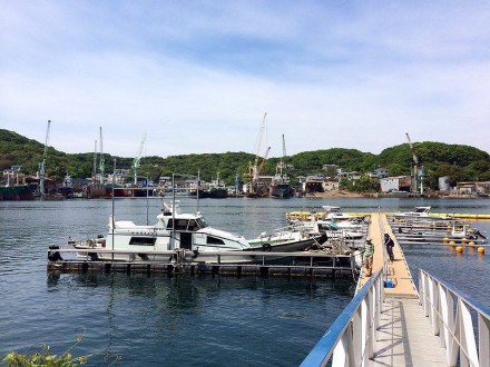 12398946_950924621654990_977750056_n