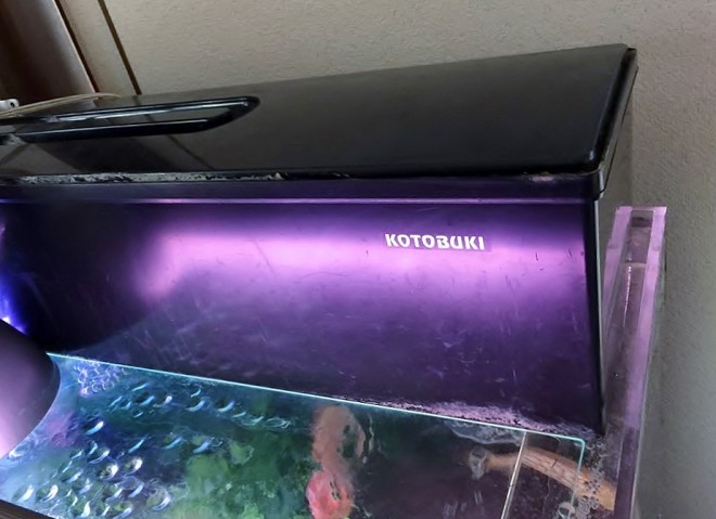 12511866_807196736073428_664541348_n