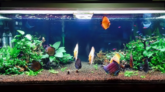 12557651_808251015968000_1236705535_o