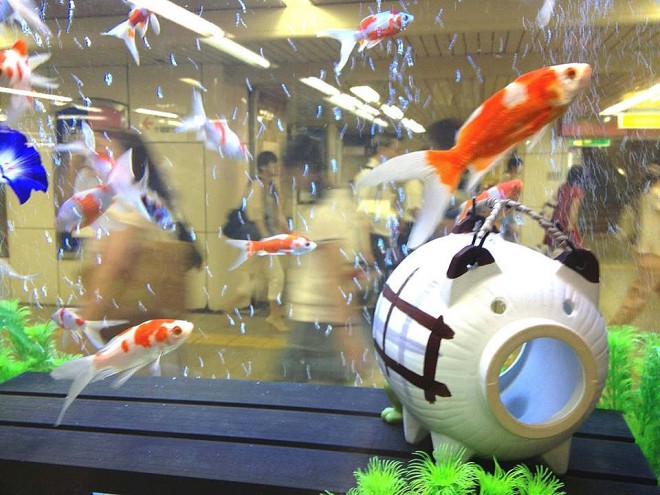 11755072_692841584193786_829159797699223209_n