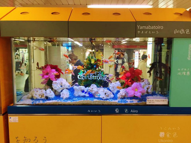 12341017_748597948618149_6025541794445250609_n