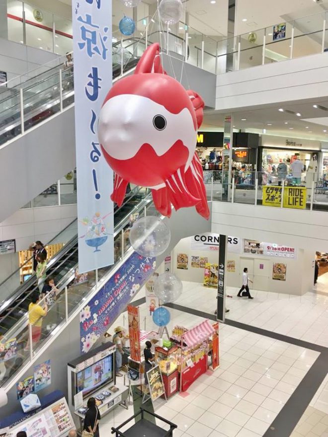 13988629_1103313333082784_1944350284_n