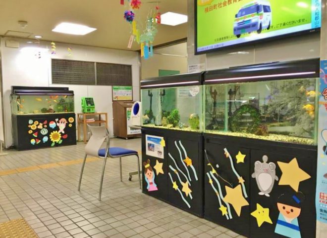 13988762_1103313983082719_373268498_n