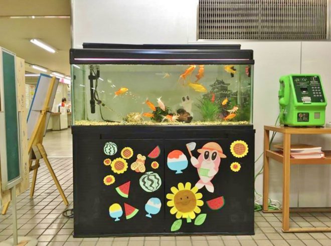 14010031_1103313809749403_1114883761_n