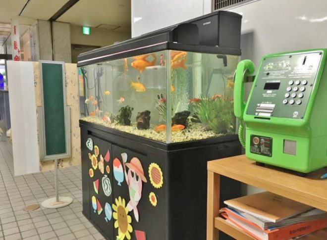 14030723_1103313866416064_1360225446_n