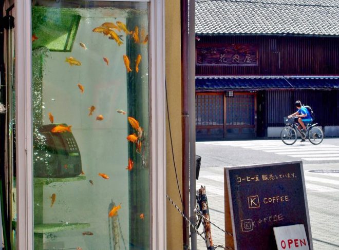 14034913_1677497285905847_6472183401781204201_n