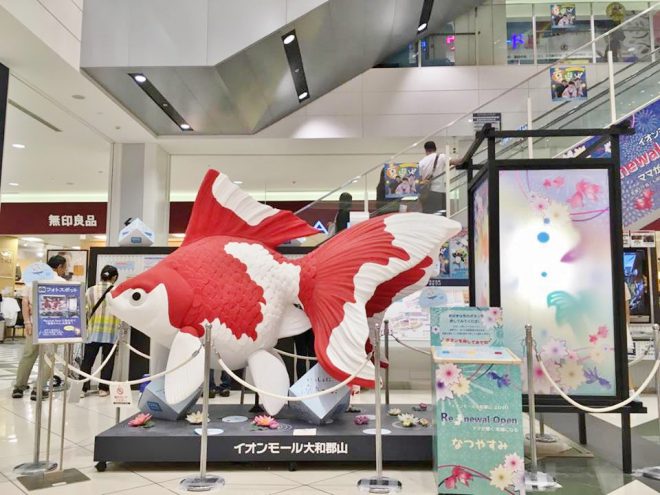 14055577_1103313376416113_230955857_n