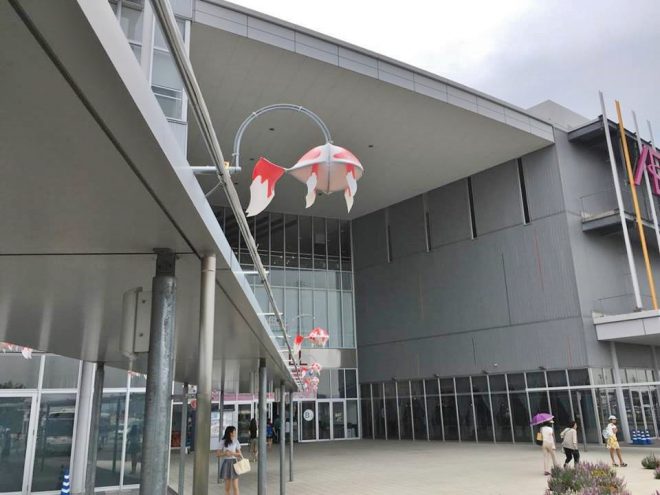 14055720_1103313443082773_1701310673_n