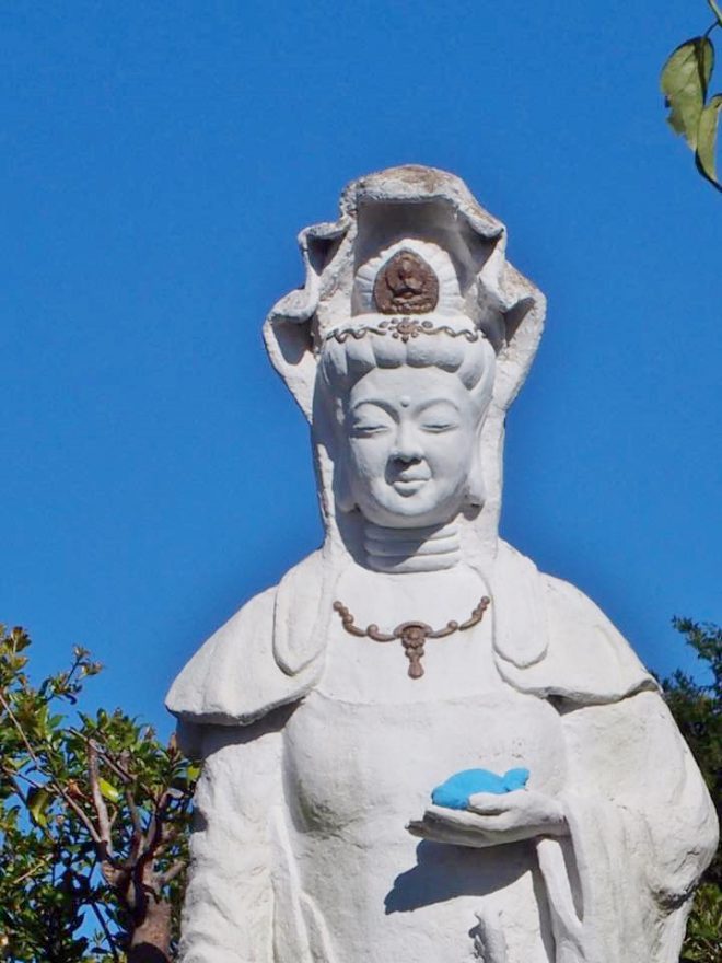 14064022_1677497405905835_2101027224597840889_n