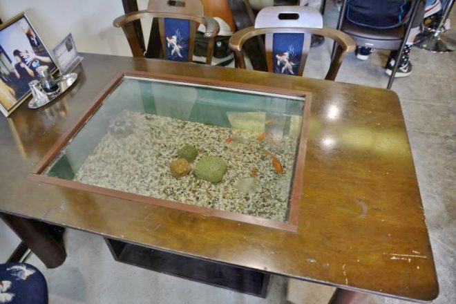 14064234_1402390596454171_2554761254728685420_n