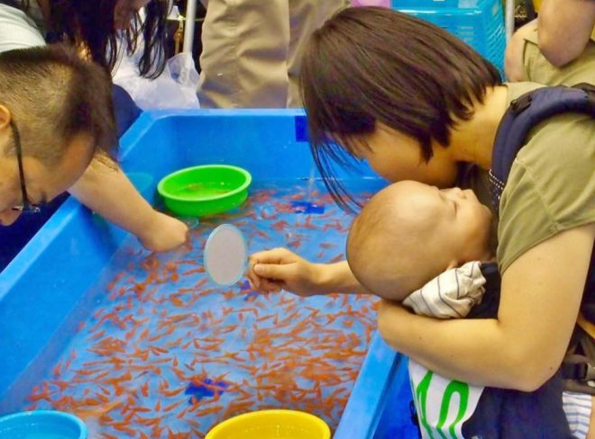 14068318_1677496872572555_4960103460562212588_n