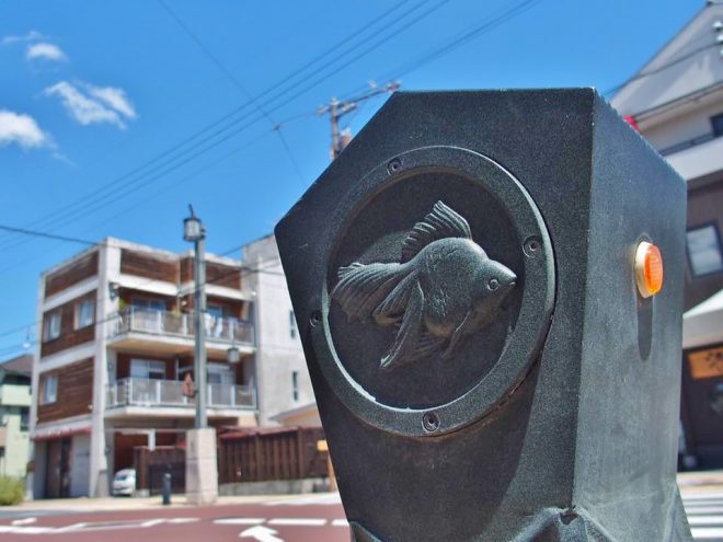 14089152_1677497245905851_2598841038935112807_n