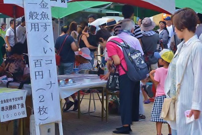 14102754_1402390296454201_8602546917430909100_n