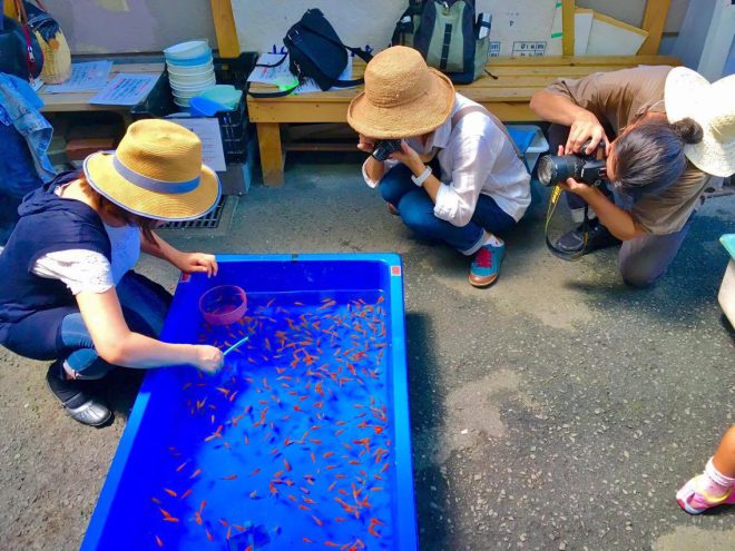 14123988_1110593312354786_788927438_o