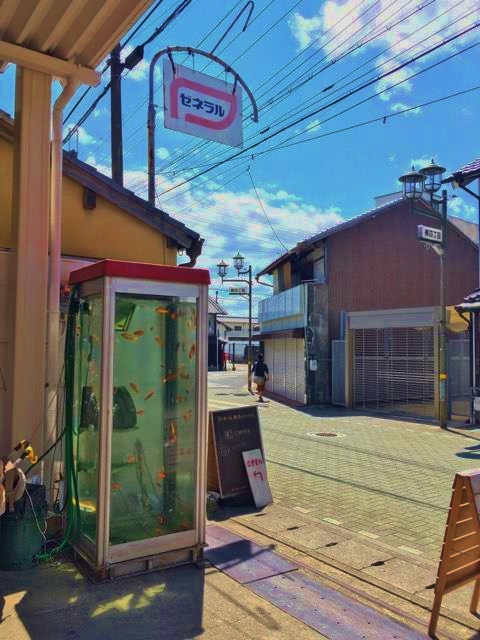 14182533_1118645851549532_1737092160_n