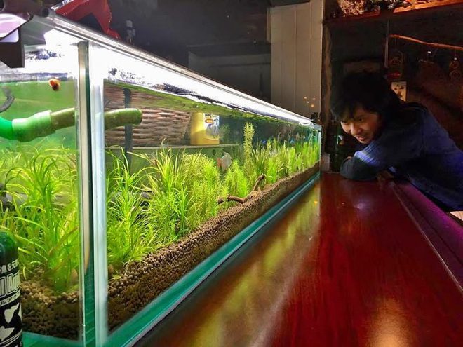 14658199_1156485491098901_1979464875_n