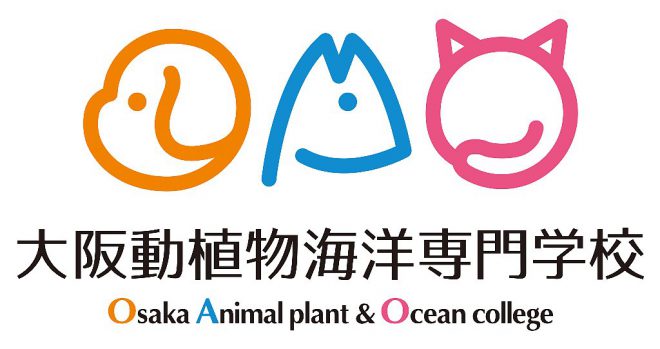 %e3%83%88%e3%83%83%e3%83%97