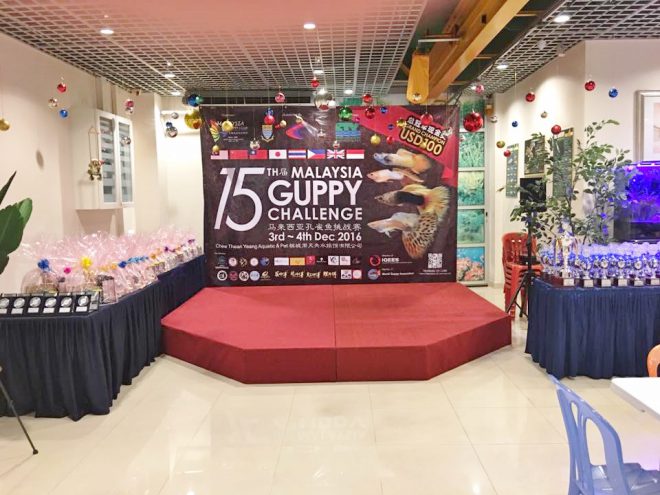 15230688_1172588022820360_3307534177529183178_n