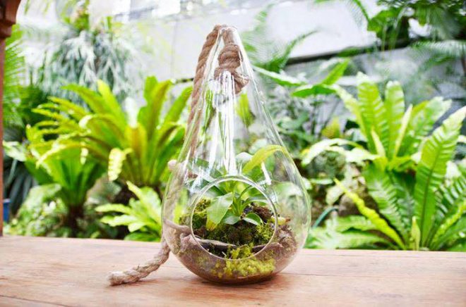 15281050_987862724691625_1558849048_n