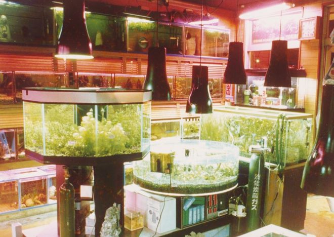 1990%e5%b9%b4%e5%ba%97%e5%86%85